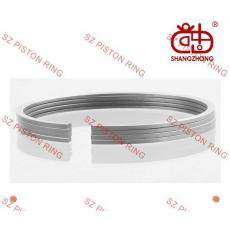 供應(yīng)大眾Polo,Derby,Golf,車(chē)型活塞環(huán)